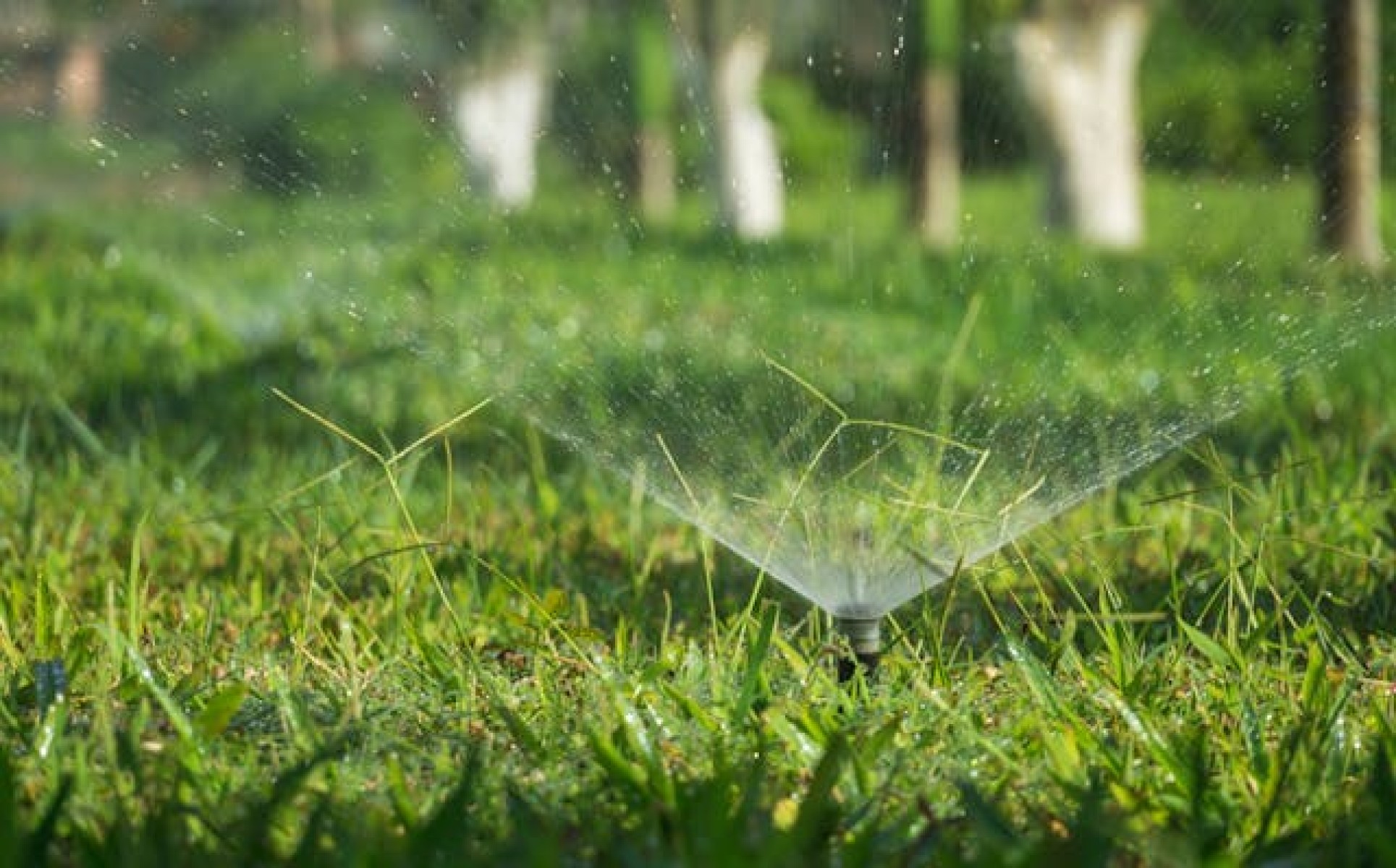 irrigation repair in whitehoue tx